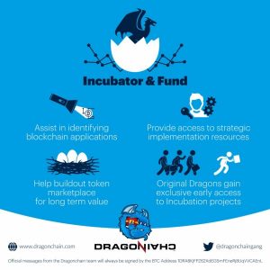 dragonchain incubator nedir